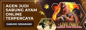 2Waybet Situs Judi Slot &Amp; Sabung Ayam Online Terbaik